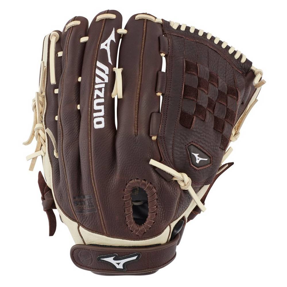 Damske Rukavice Mizuno Frachise Series Fastpitch 13" Softball Káva/Strieborne Vypredaj WODC84210